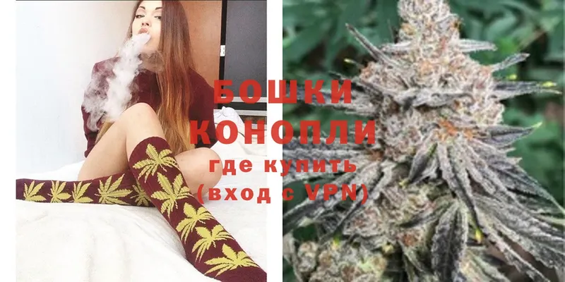 наркотики  Луга  Каннабис OG Kush 